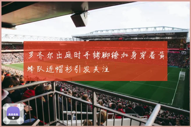 罗齐尔出庭时手铐脚镣加身穿着黄蜂队连帽衫引发关注