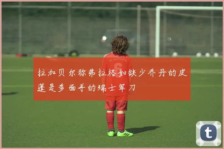 拉加贝尔称弗拉格如缺少乔丹的皮蓬是多面手的瑞士军刀