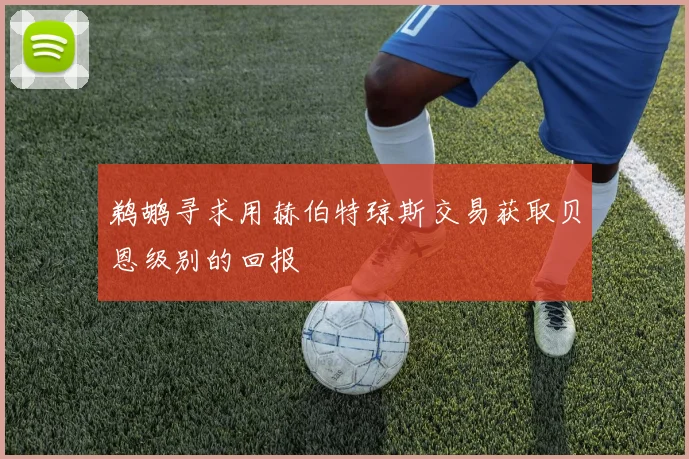 鹈鹕寻求用赫伯特琼斯交易获取贝恩级别的回报