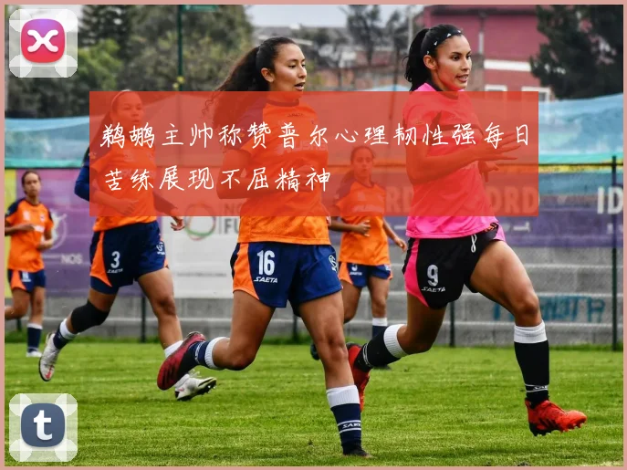 鹈鹕主帅称赞普尔心理韧性强每日苦练展现不屈精神