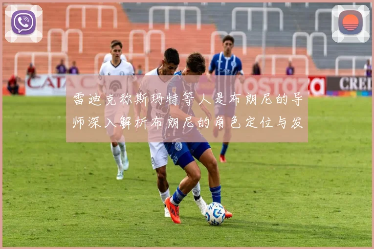 雷迪克称斯玛特等人是布朗尼的导师深入解析布朗尼的角色定位与发展方向