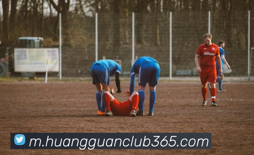 皇冠体育平台生态图